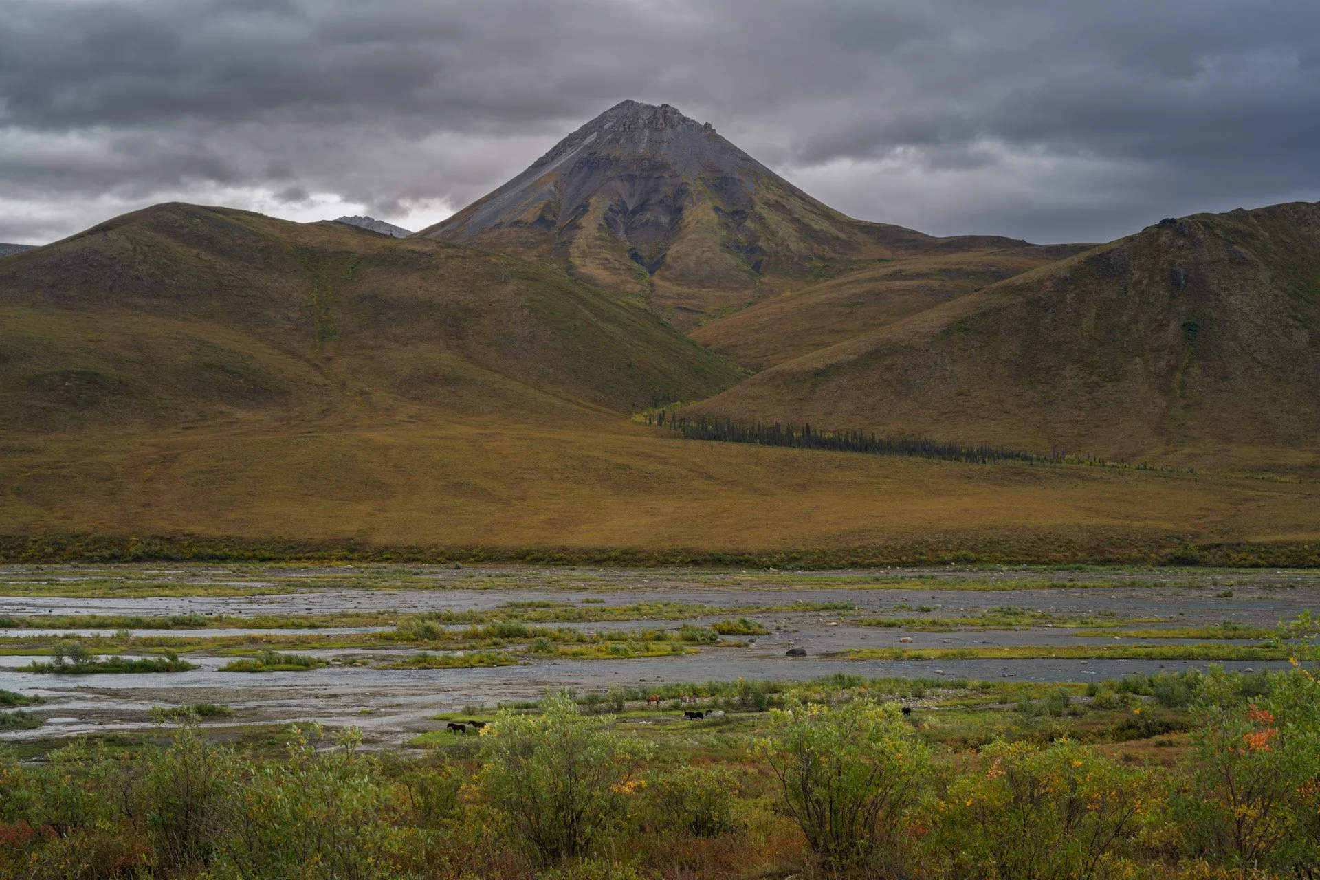 Dempster highway, Tombstone Territorial Park, Yukon, Canada 2025