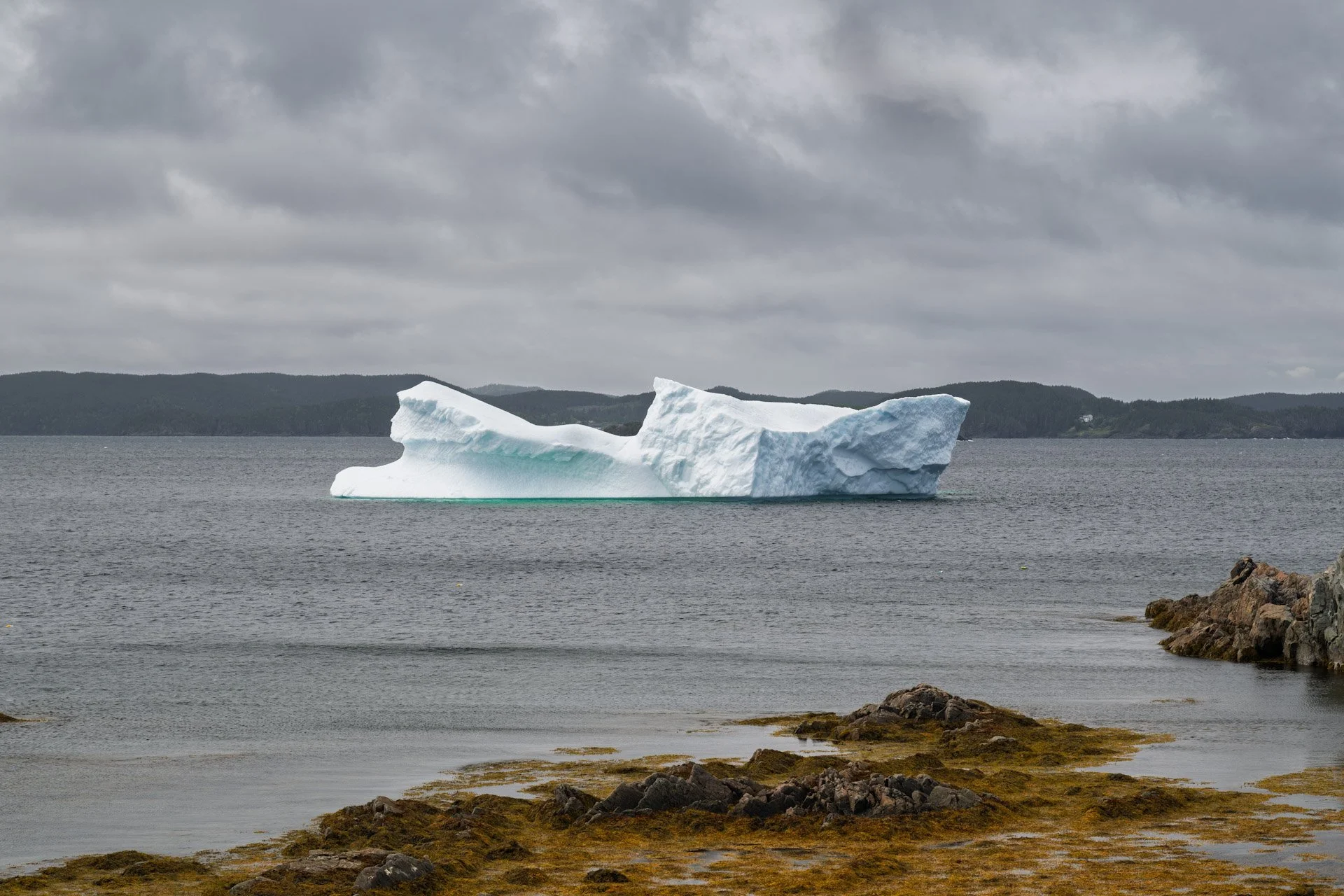 Terre-Neuve, Canada, juin 2025