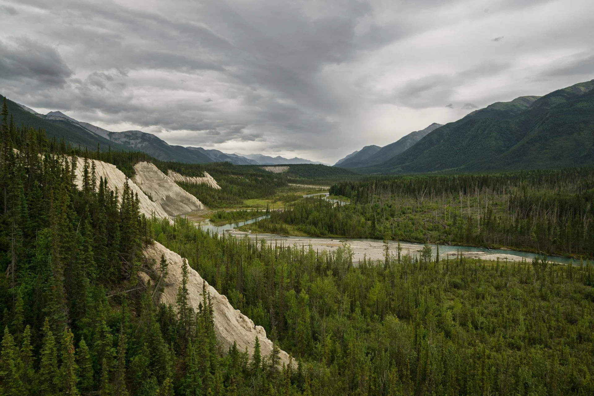 Mineral Lick, Muncho Lake Provicial Park, Colombie-Britannique