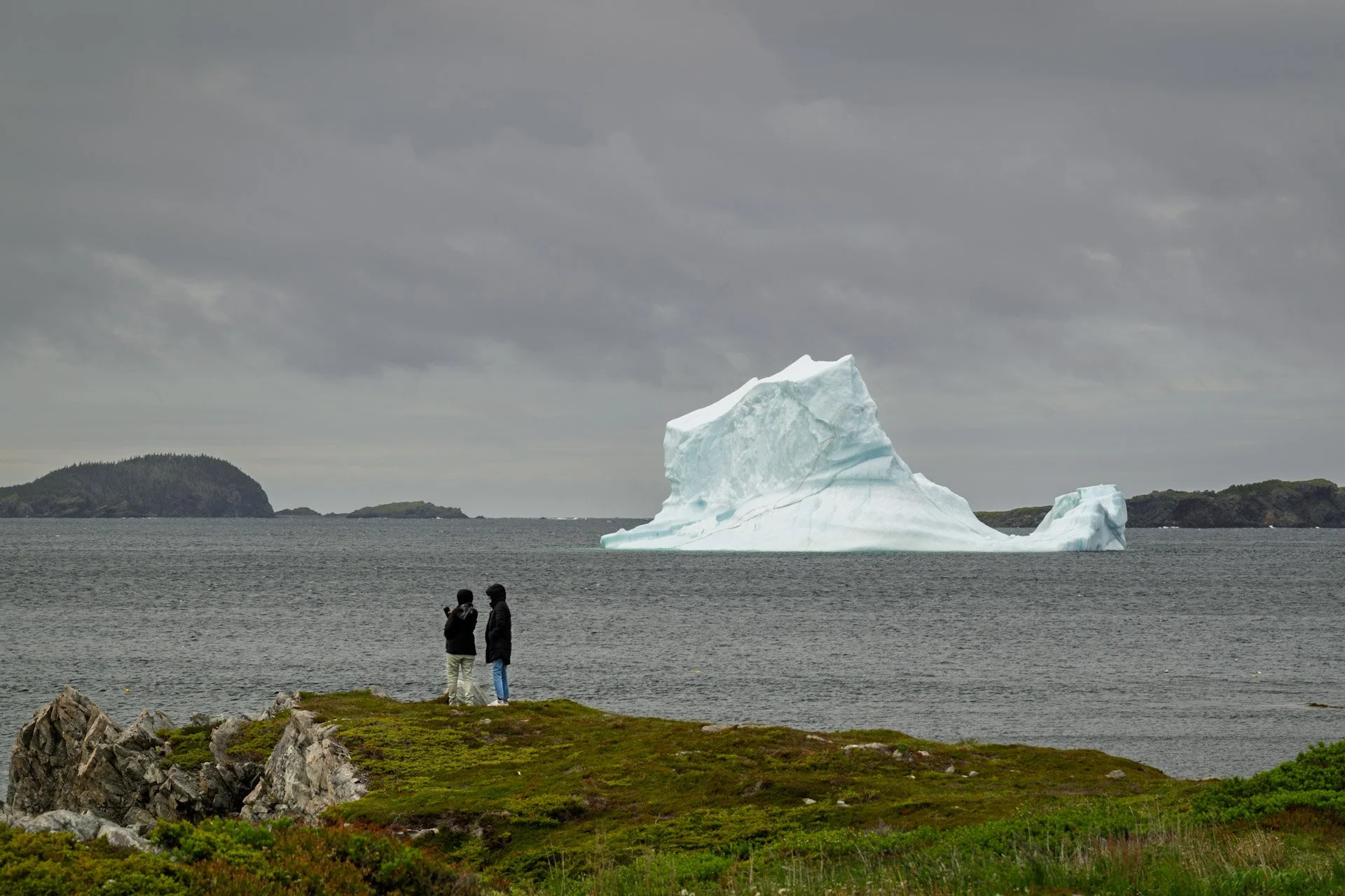 Terre-Neuve, Canada, juin 2025