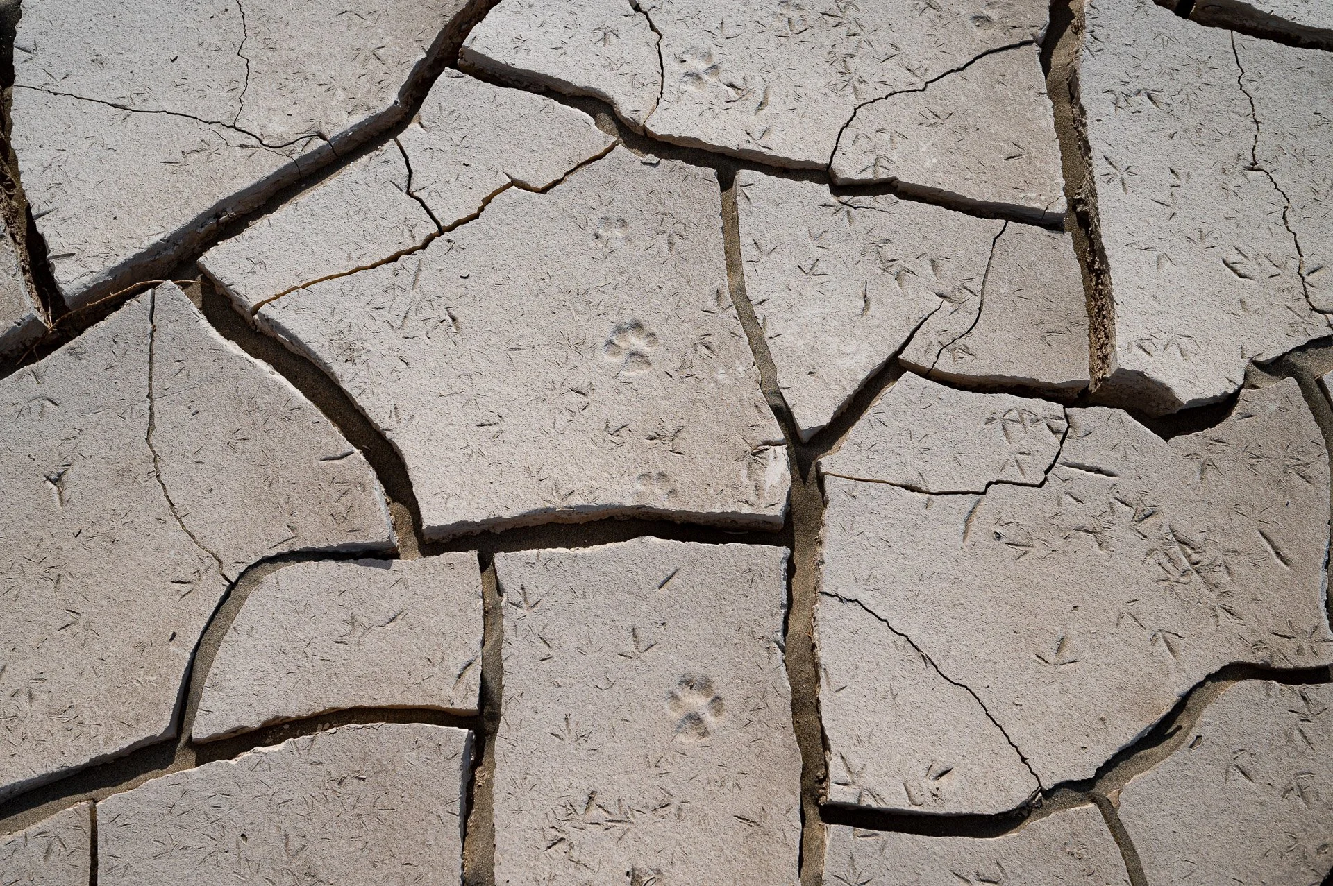 Death Valley National Park, Californie 2023