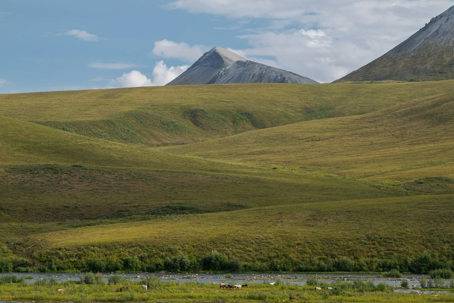 Dempster Highway, Yukon, 2025
