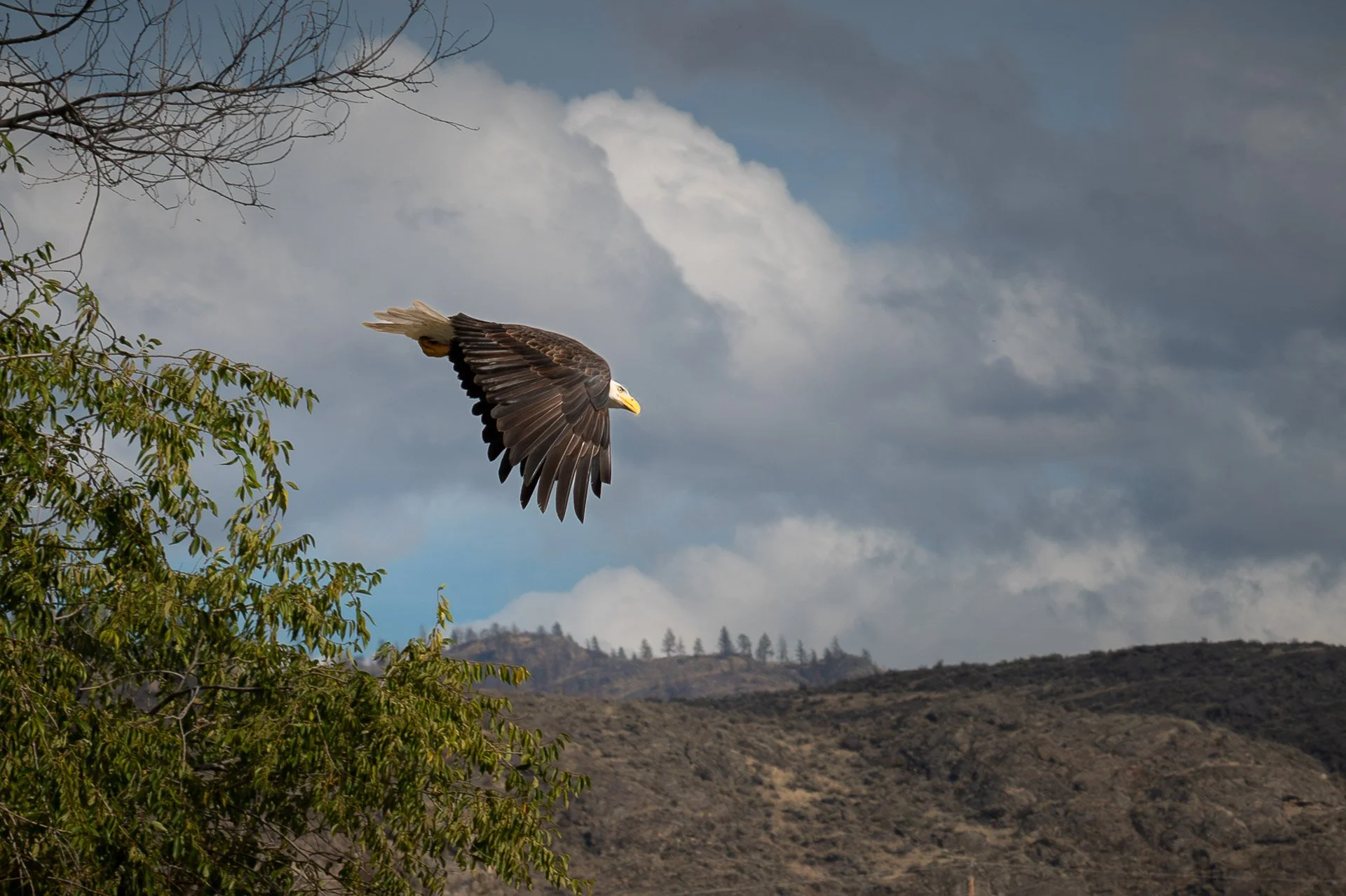 Osoyoos, Colombie-Britanique Octobre 2023