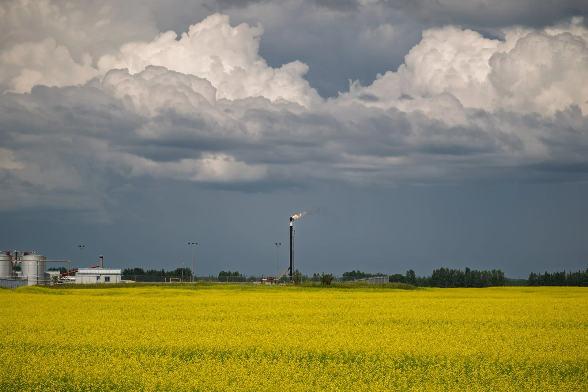 Les prairies canadiennes 2025