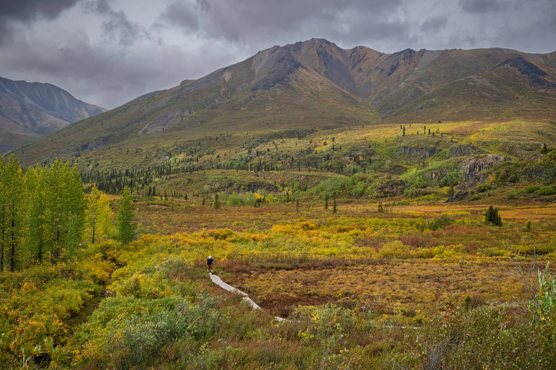 Dempster highway, Tombstone Territorial Park, Yukon, Canada 2025