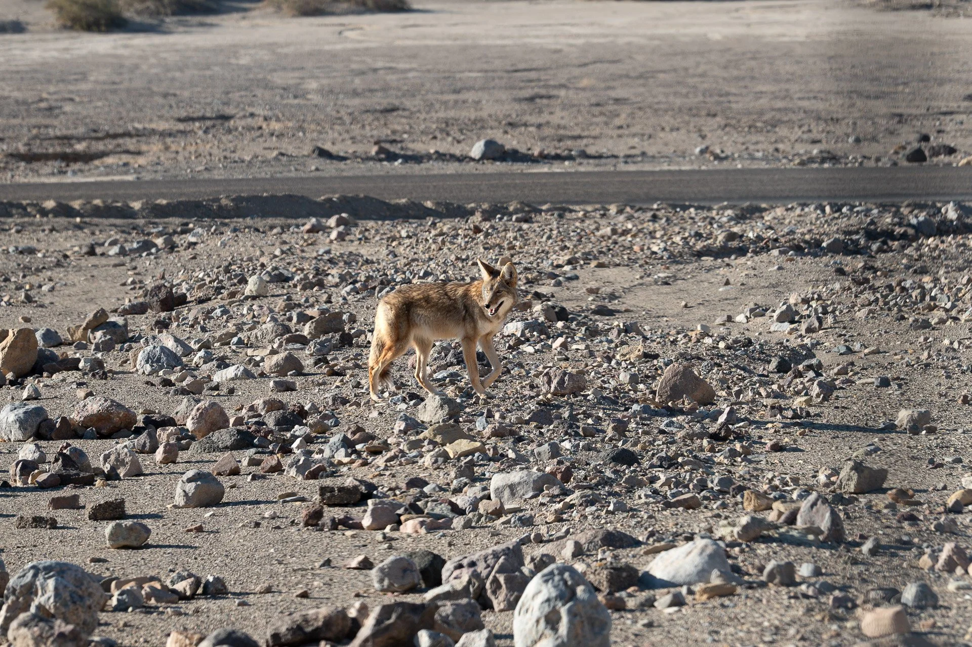 Death Valley National Park, CA, États-Unis Dévembre 2023