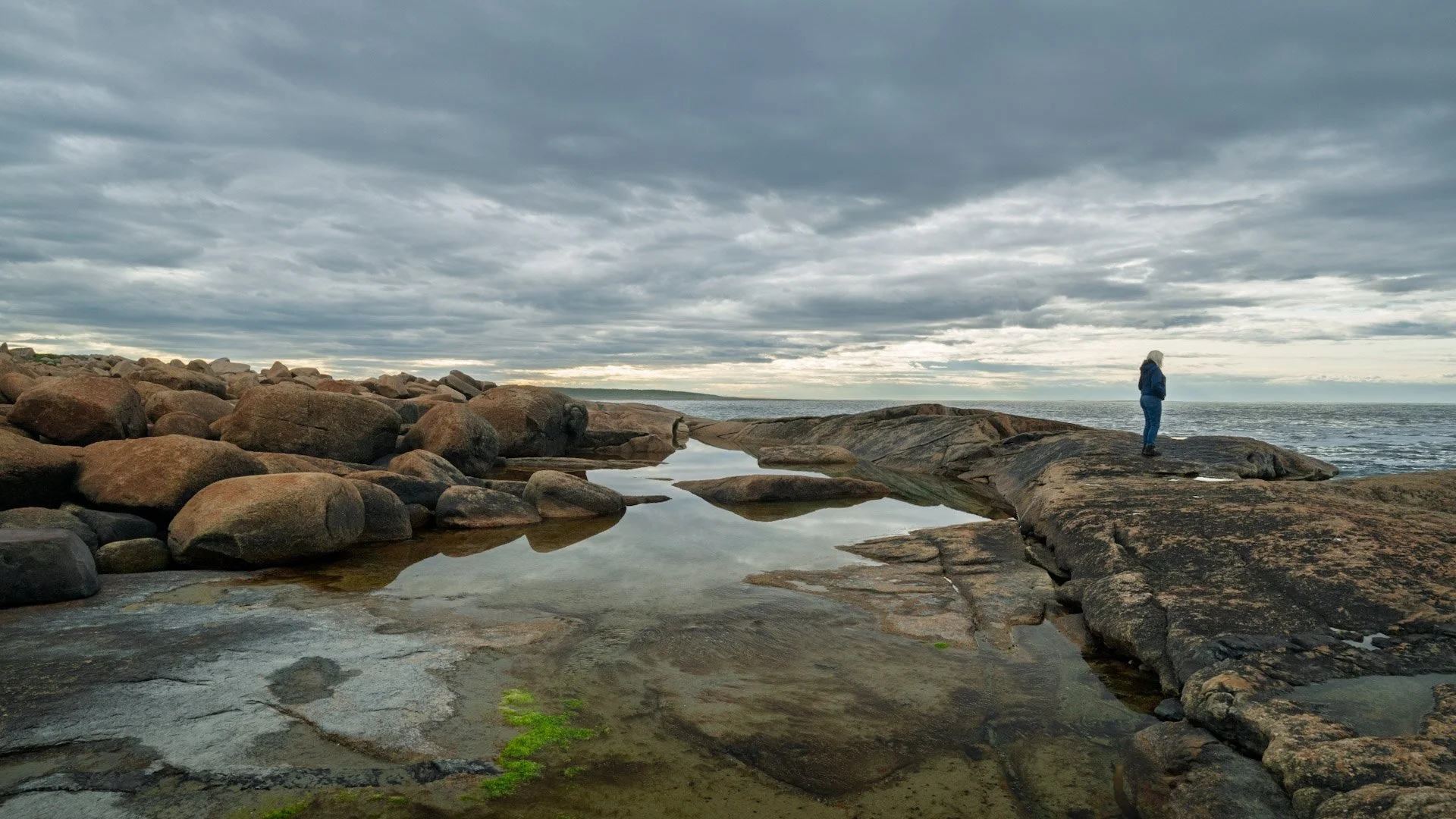 Terre-Neuve, Canada, juin 2025