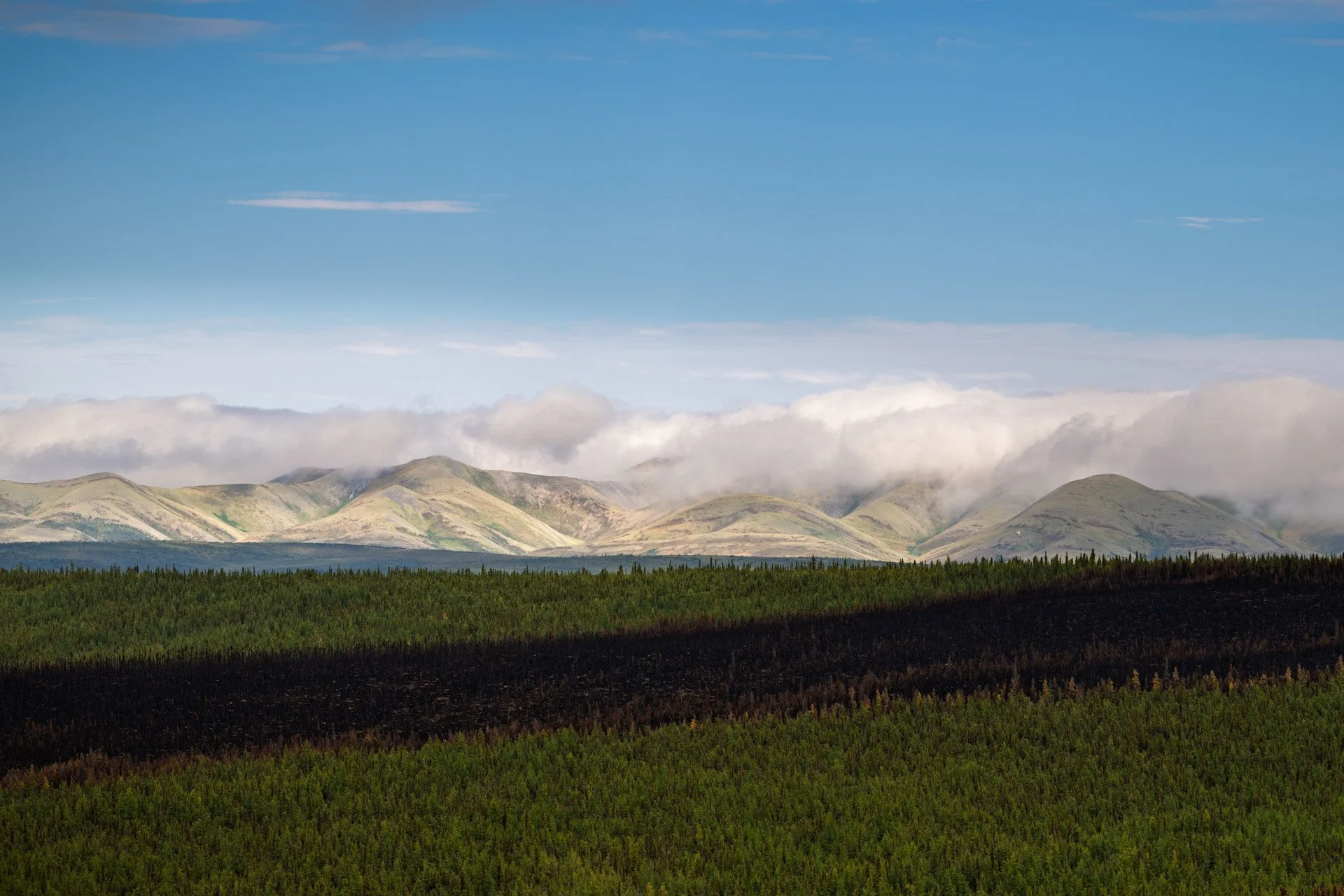 _DSC3099.jpg