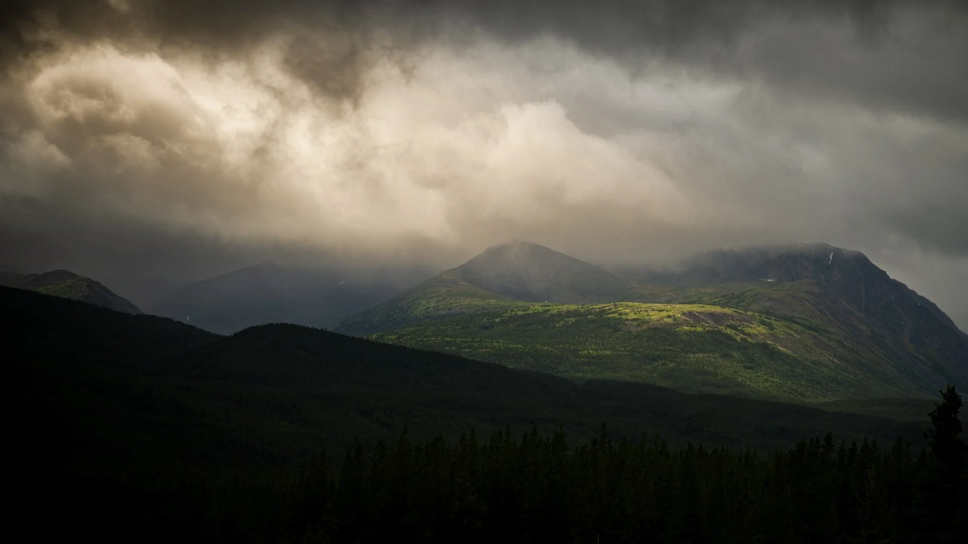 En route vers Dempster Highway, 2025