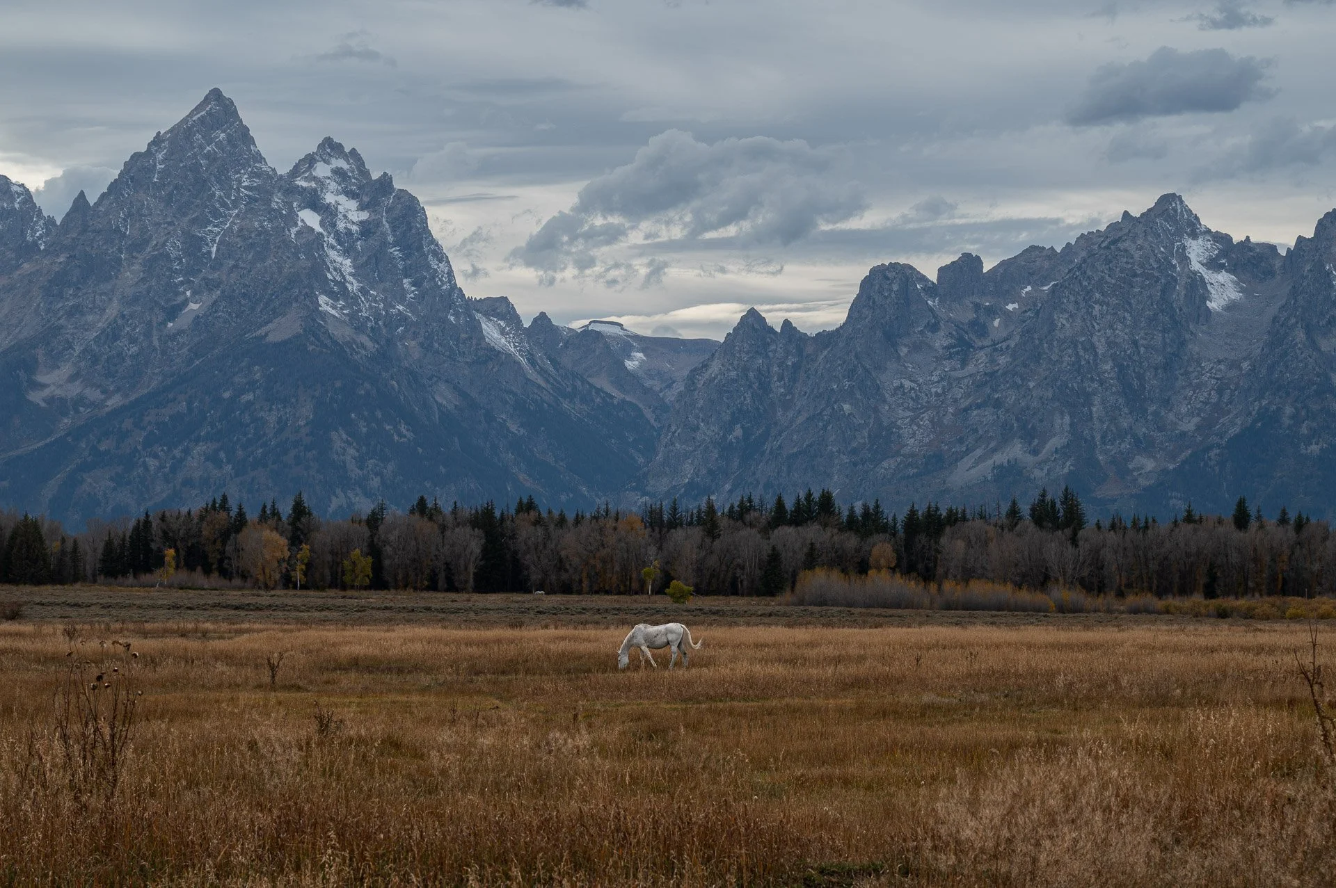 Grand Teton National Park, WY, États-Unis Octobre 2023