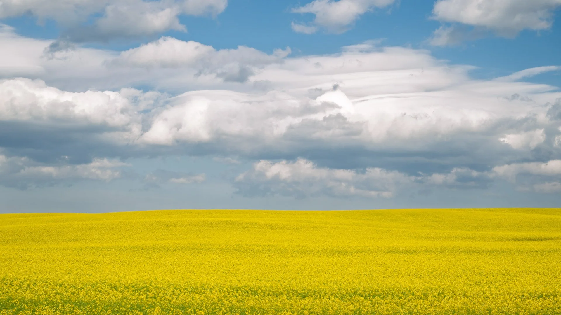 Les prairies canadiennes 2025