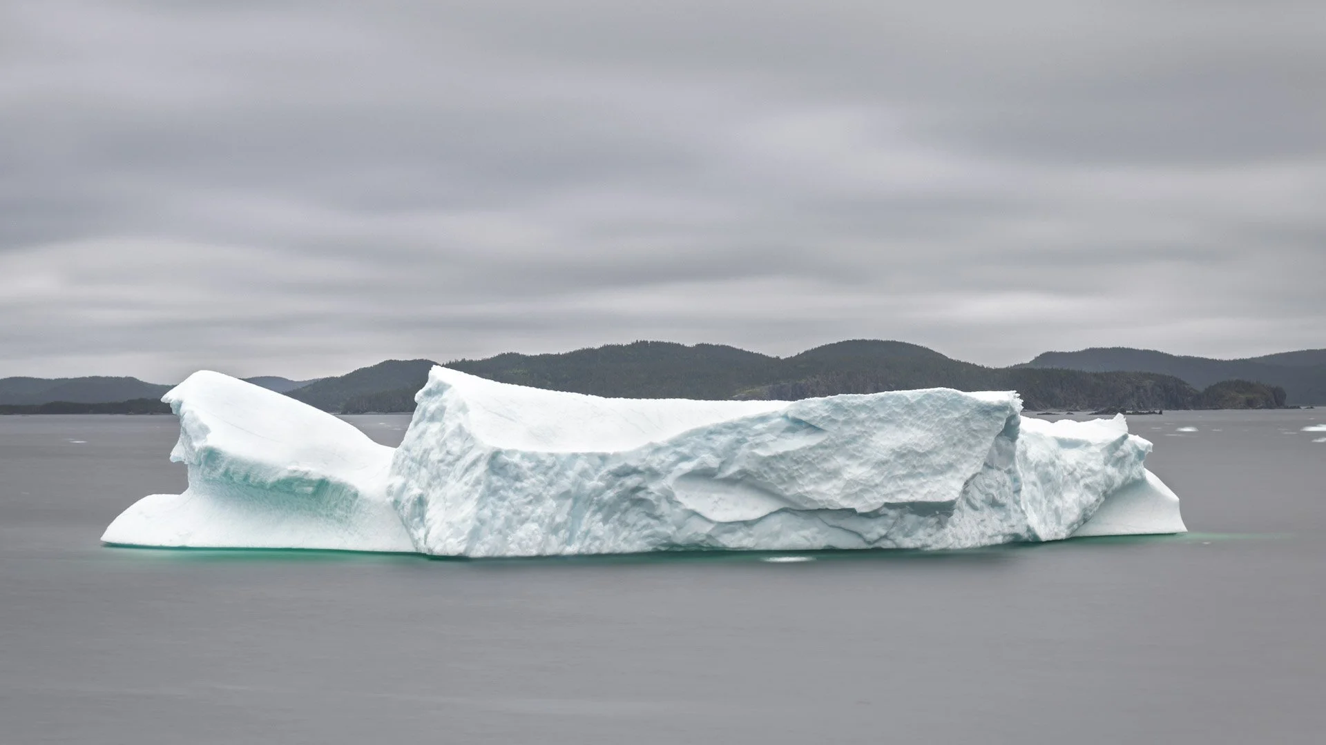 Terre-Neuve, Canada, juin 2025