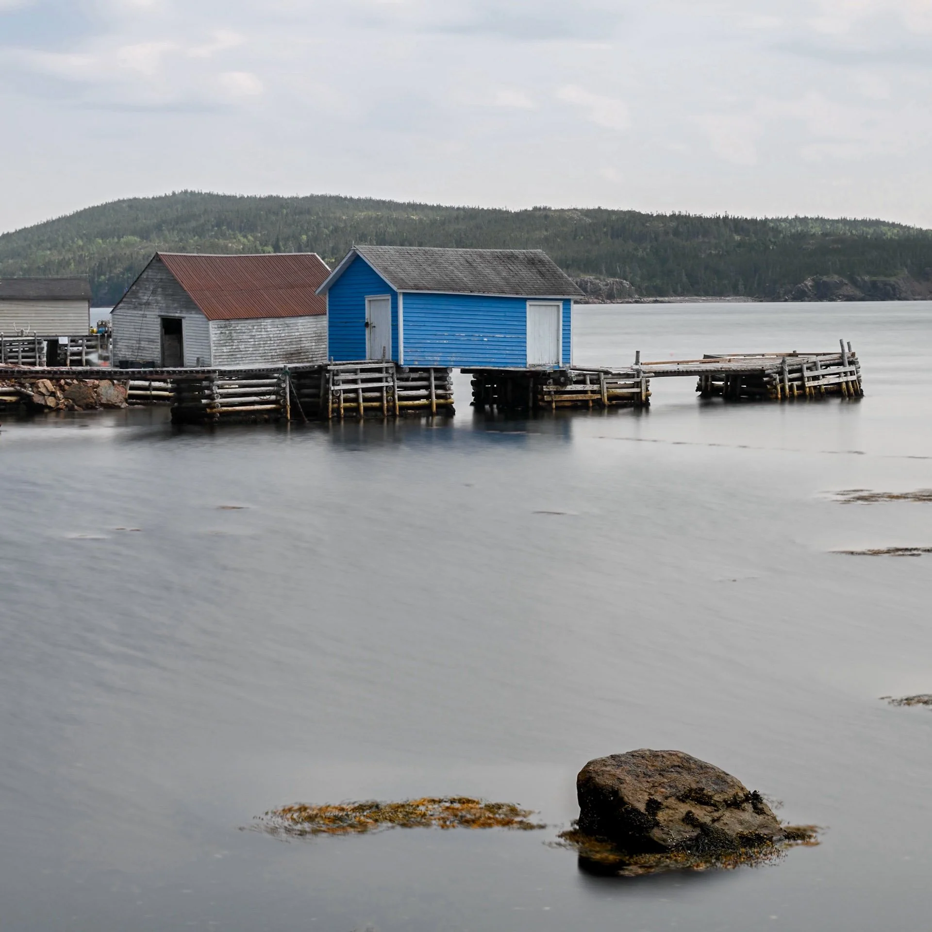 Terre-Neuve, Canada, juin 2025