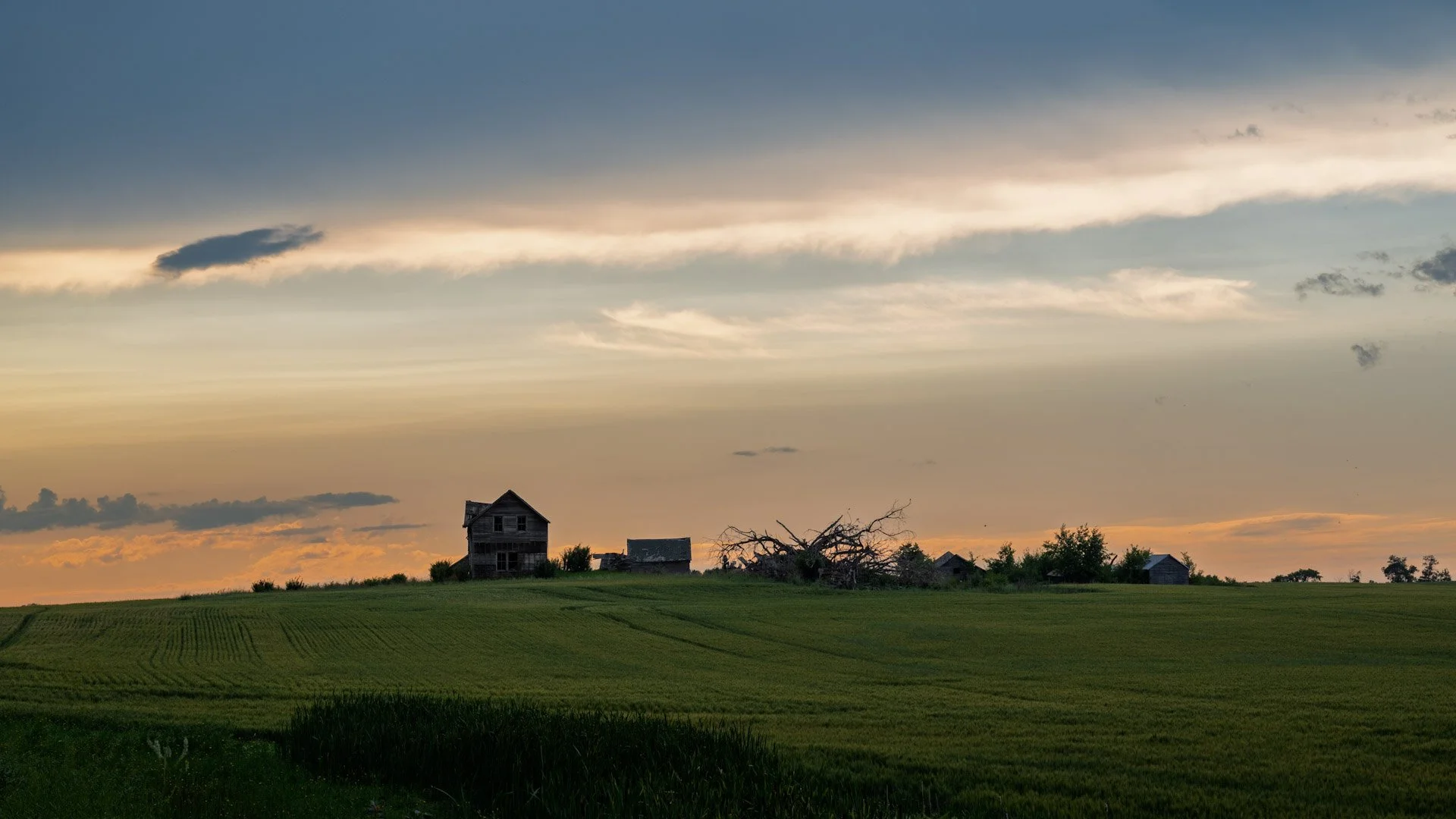 Les prairies canadiennes 2025