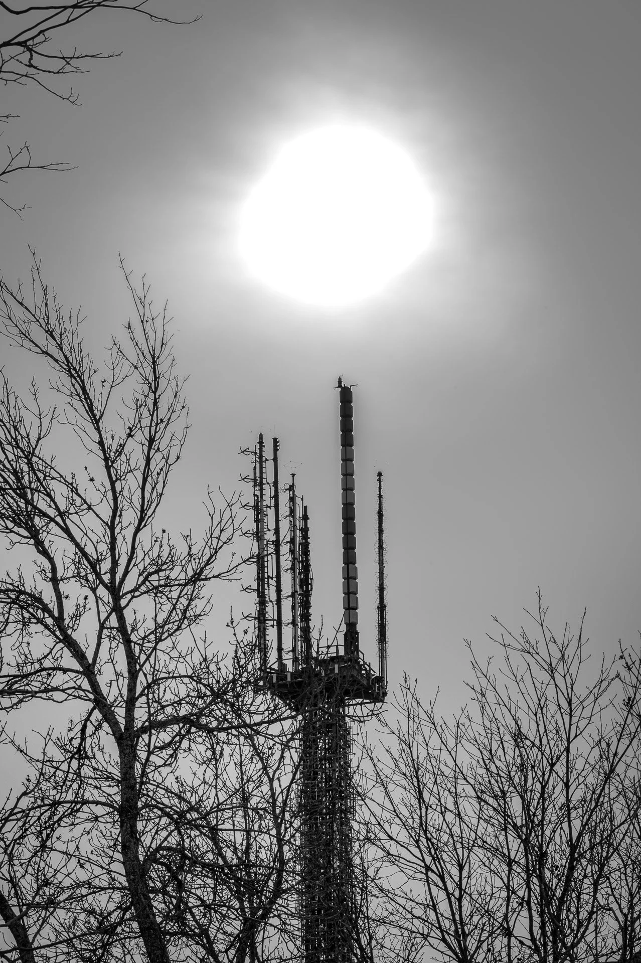 Montréal, Février 2023