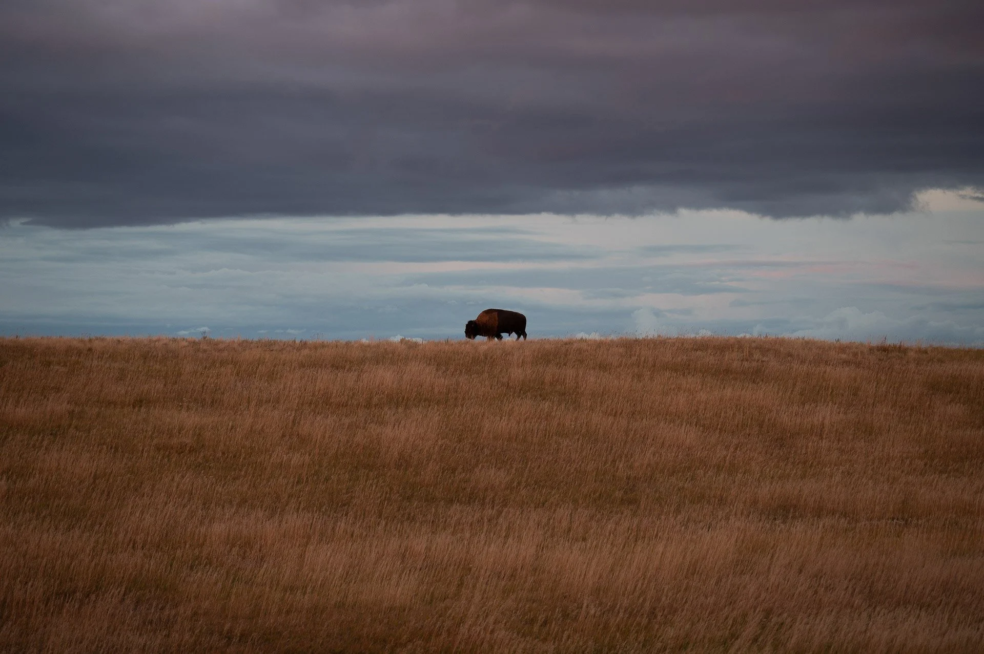 Badlands National Park, SD, États-Unis Septembre 2023