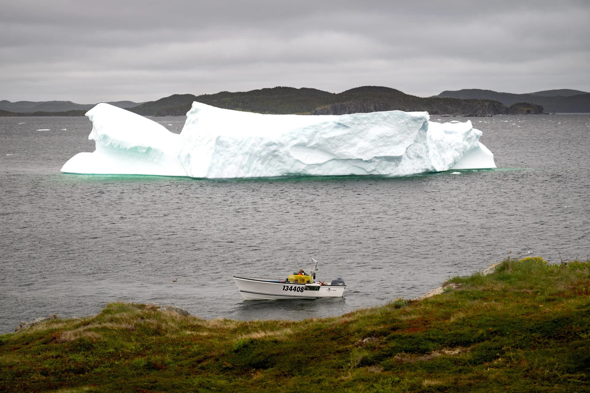 Terre-Neuve, Canada, juin 2025