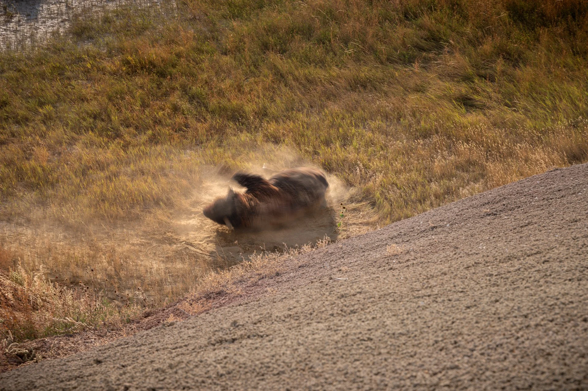 Badlands National Park, SD, États-Unis Septembre 2023