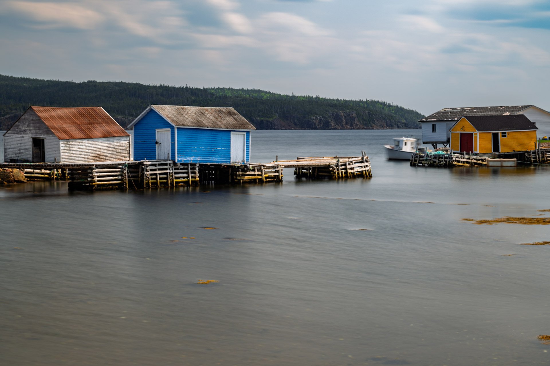 Terre-Neuve, Canada, juin 2025