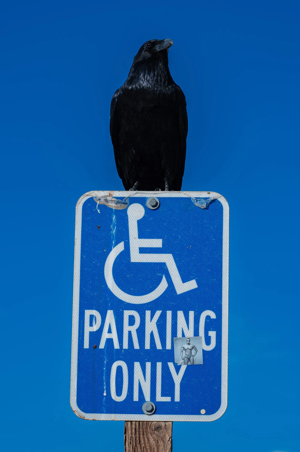 Death Valley National Park, CA, États-Unis Novembre 2023