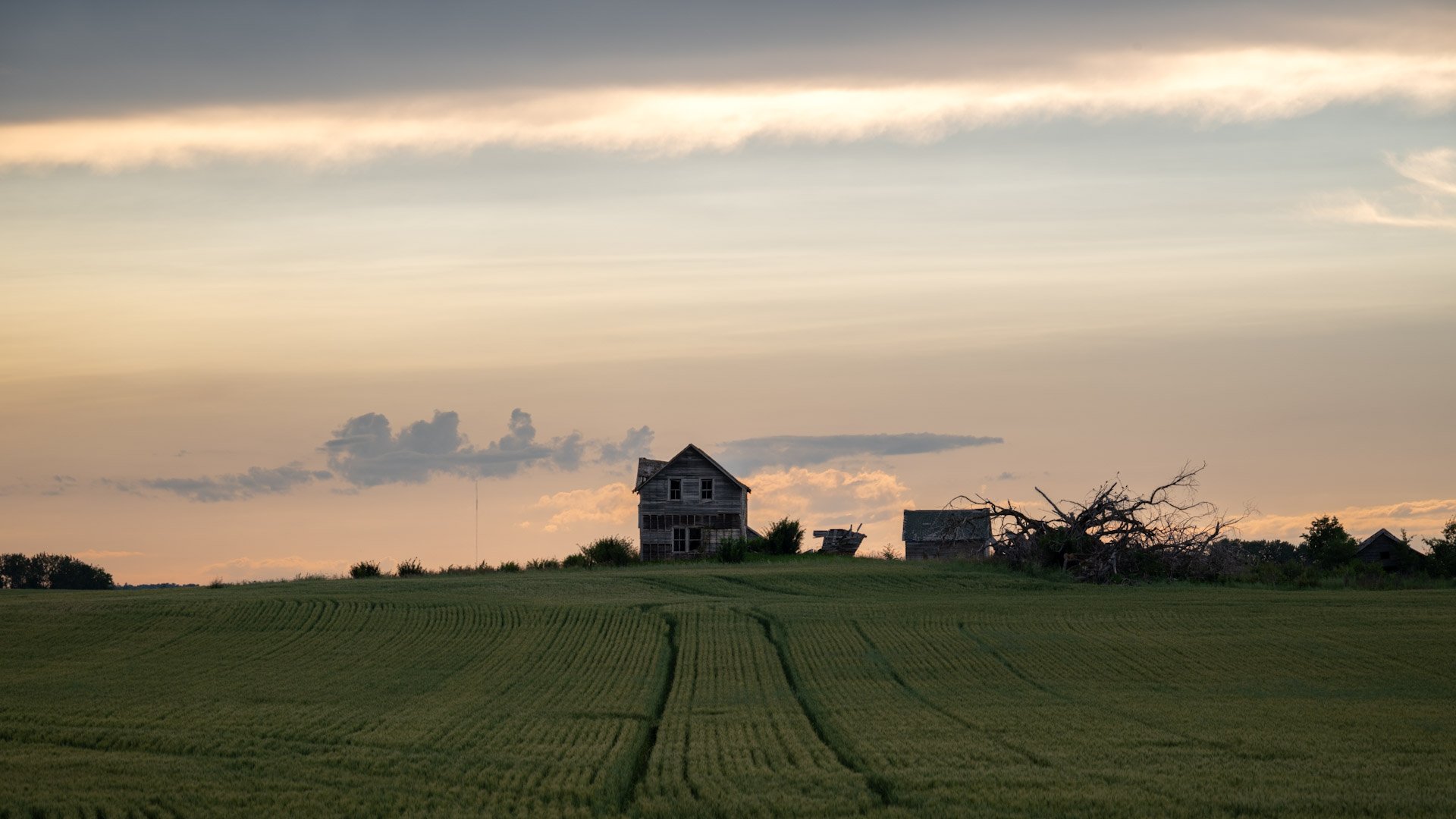 Les prairies canadiennes 2025
