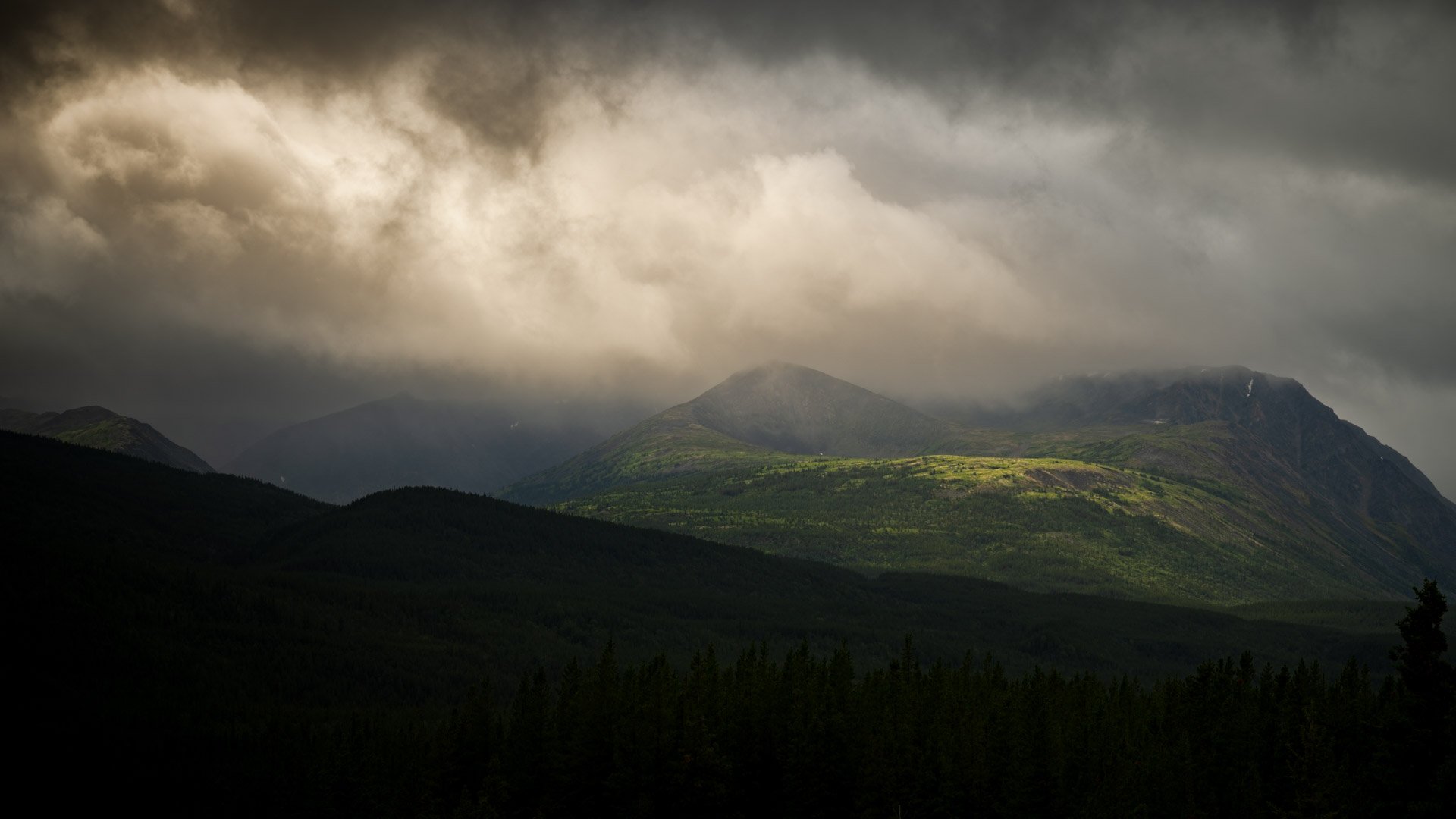 En route vers Dempster Highway, Yukon, 2025