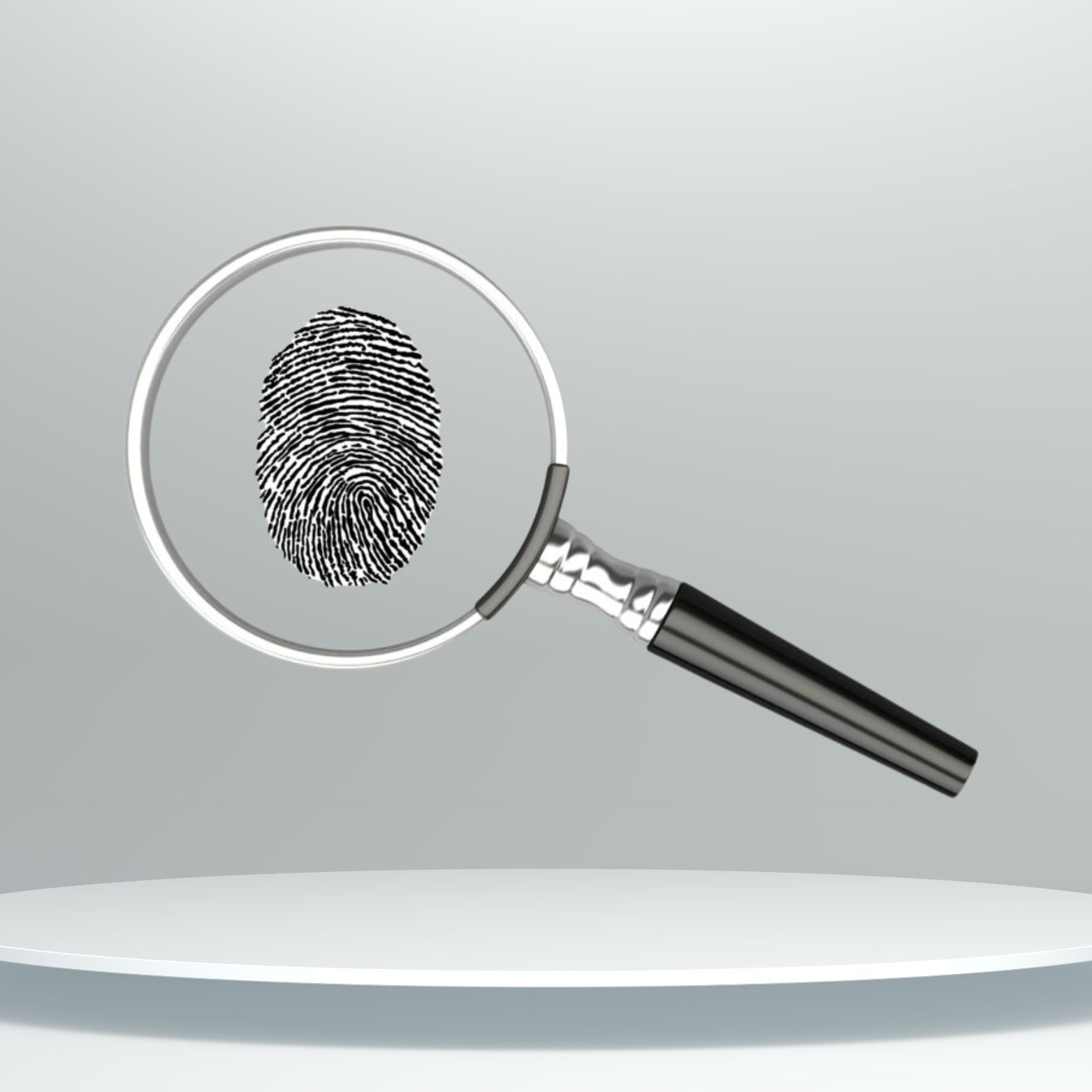 Background Checks Private Investigations