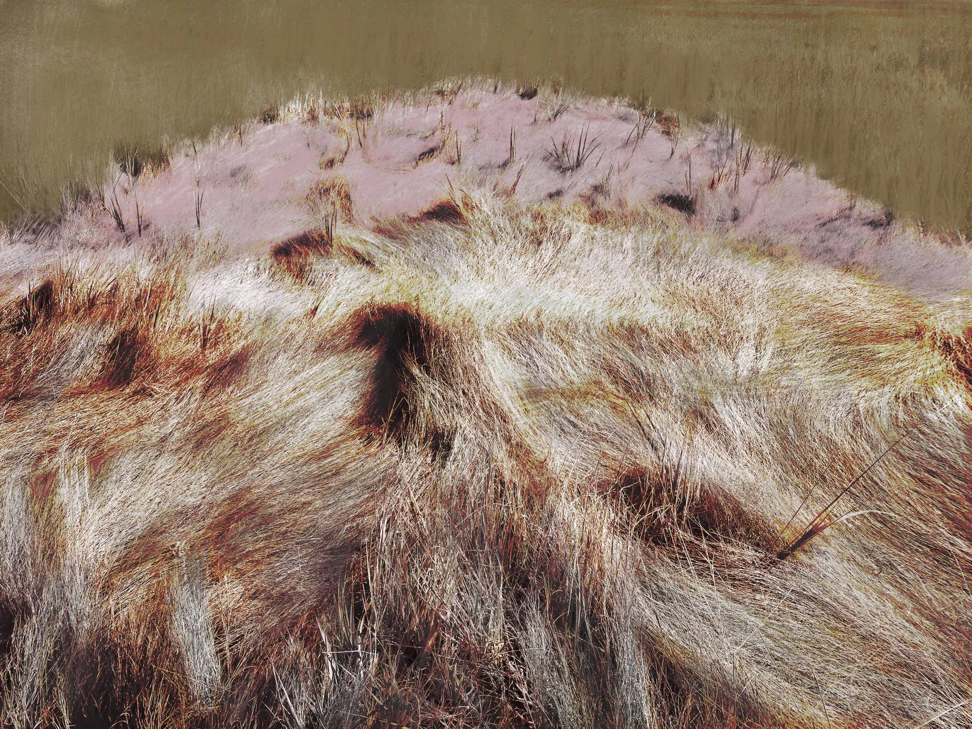 Altered_Landscape_Salt_Marsh_Hay_17.jpg