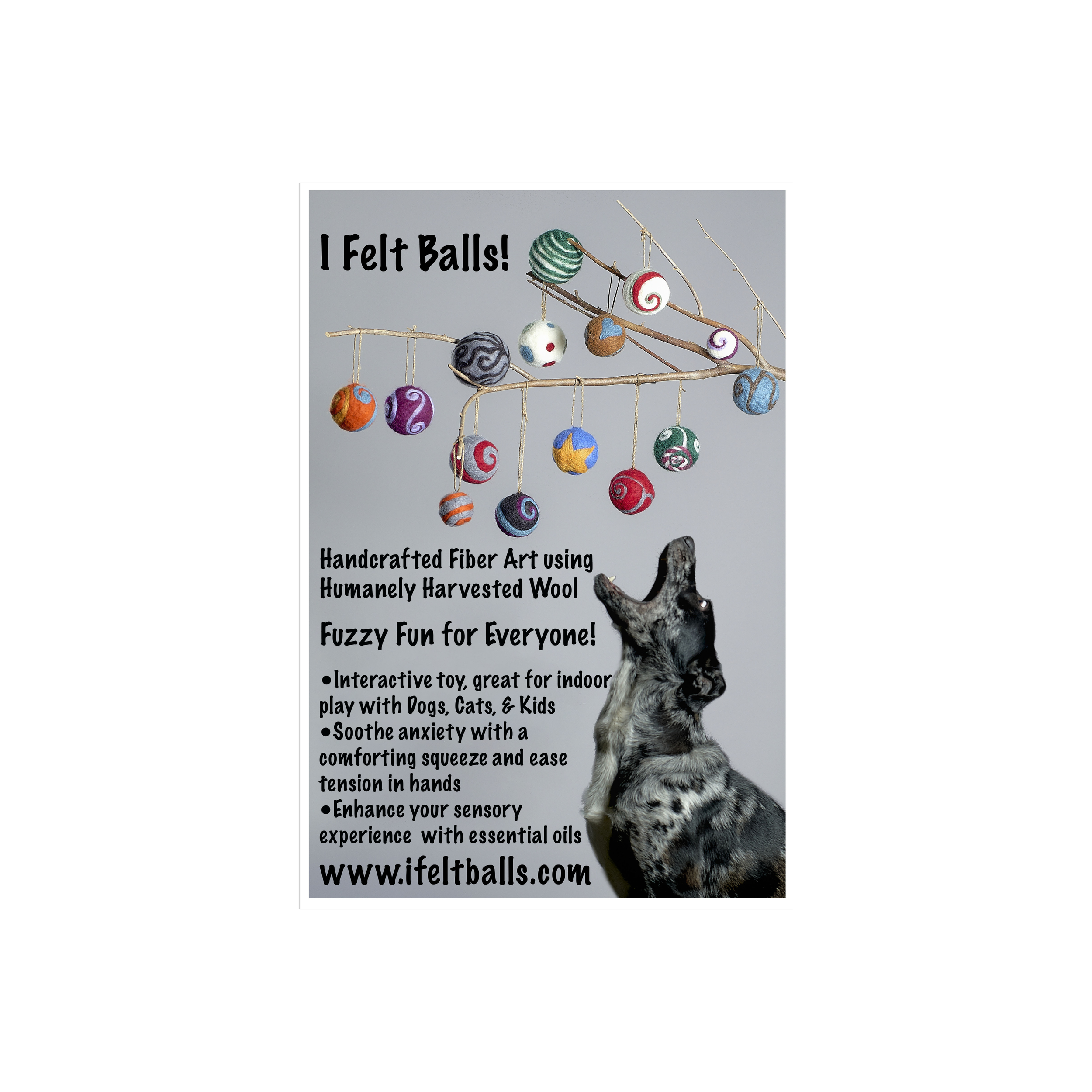A poster promoting felt balls made from humanely harvested wool, featuring colorful felt balls hanging on a branch and a dog at the bottom right corner, with text about the product's benefits and website www.ifeltballs.com.