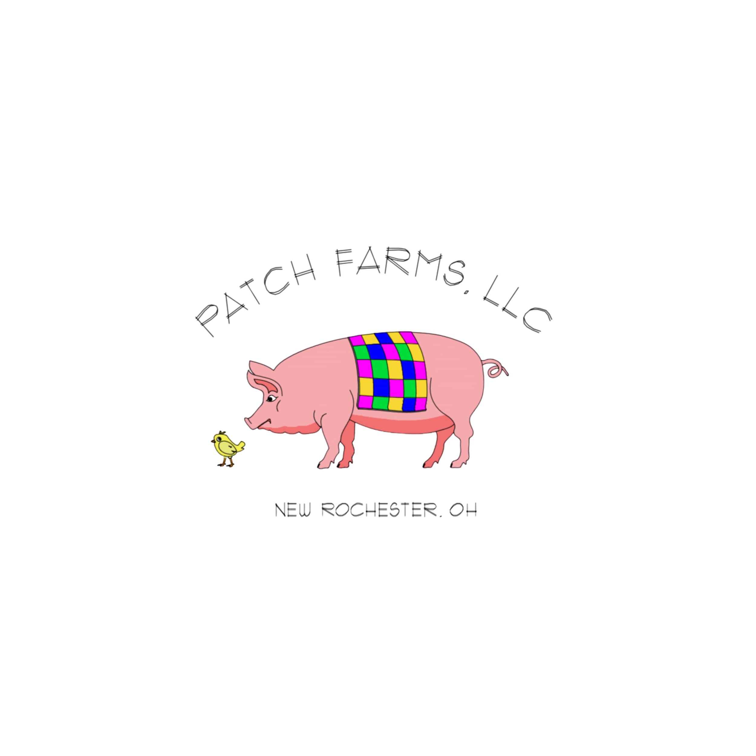 A digital illustration of a pig with a rainbow pattern on its back, surrounded by text and colorful puzzle pieces.