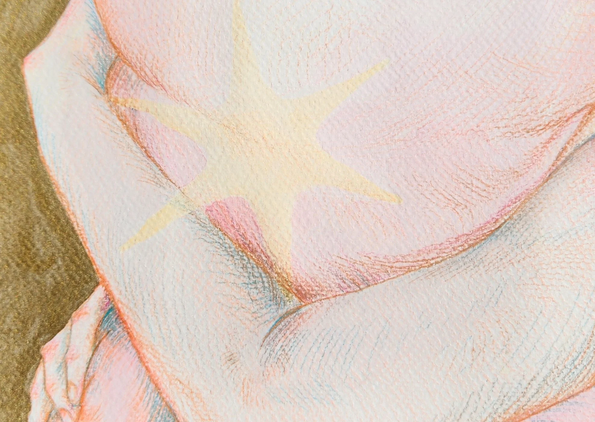 Watercolour and coloured pencil on paper