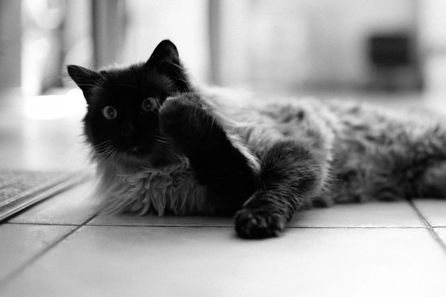 Work Philosophy-5.jpg