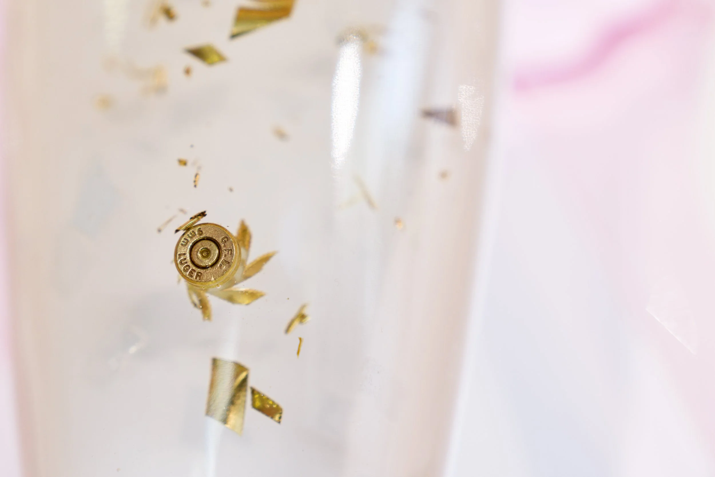 Close-up of a butterfly thorax with a shredded bullet casing.
