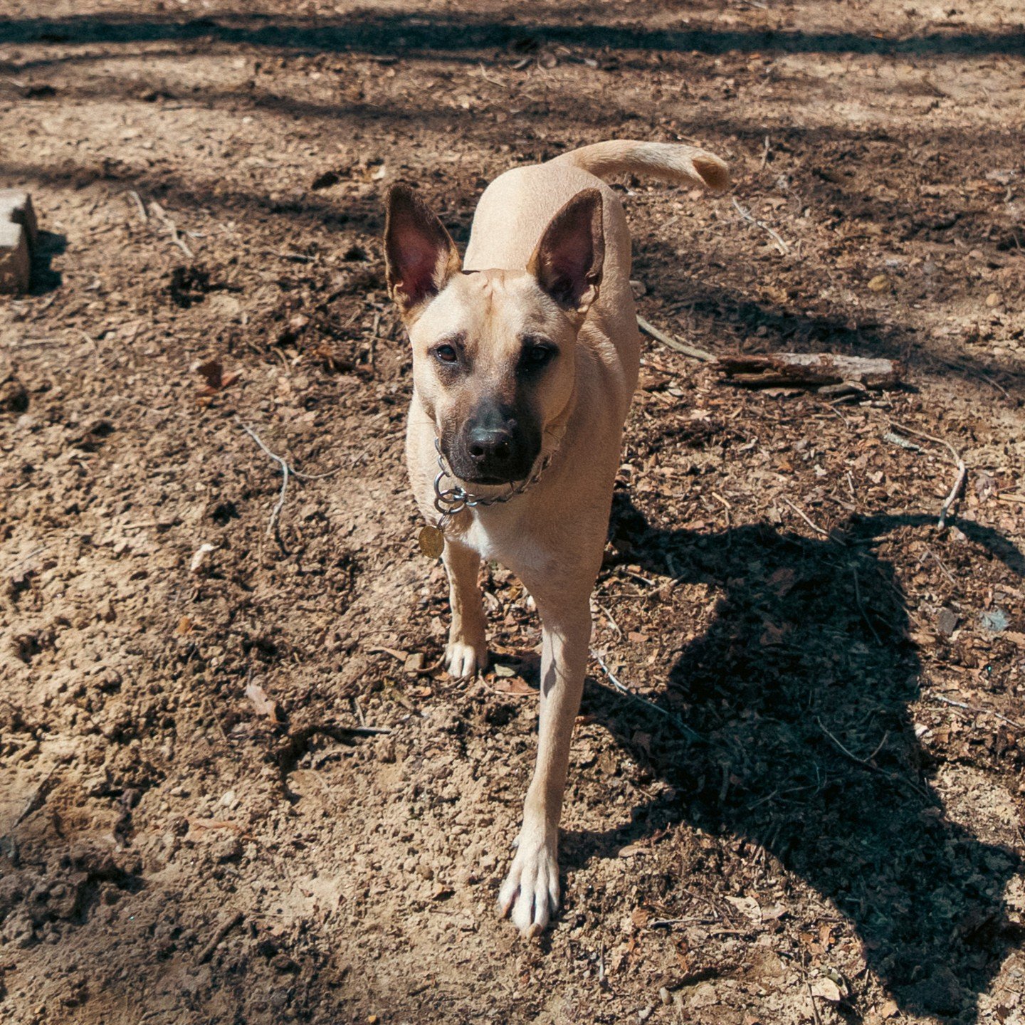 April 2025-
my dog turned 12
my cat turned 15
I turned 37
I soaked up friend time
we played with dead fish
we picked up trash for Earth Day
we watched supercross outside
we helped my mom move her camper (it's for sale!)

April always flies by for me.