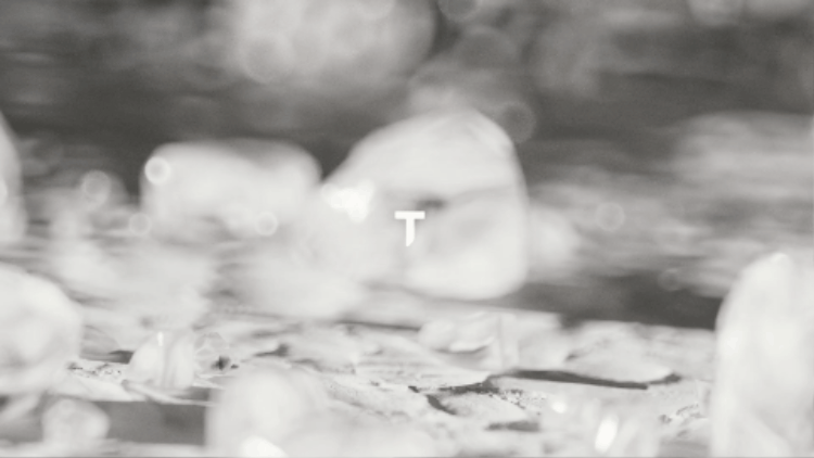 Thorne x DissEmbargo