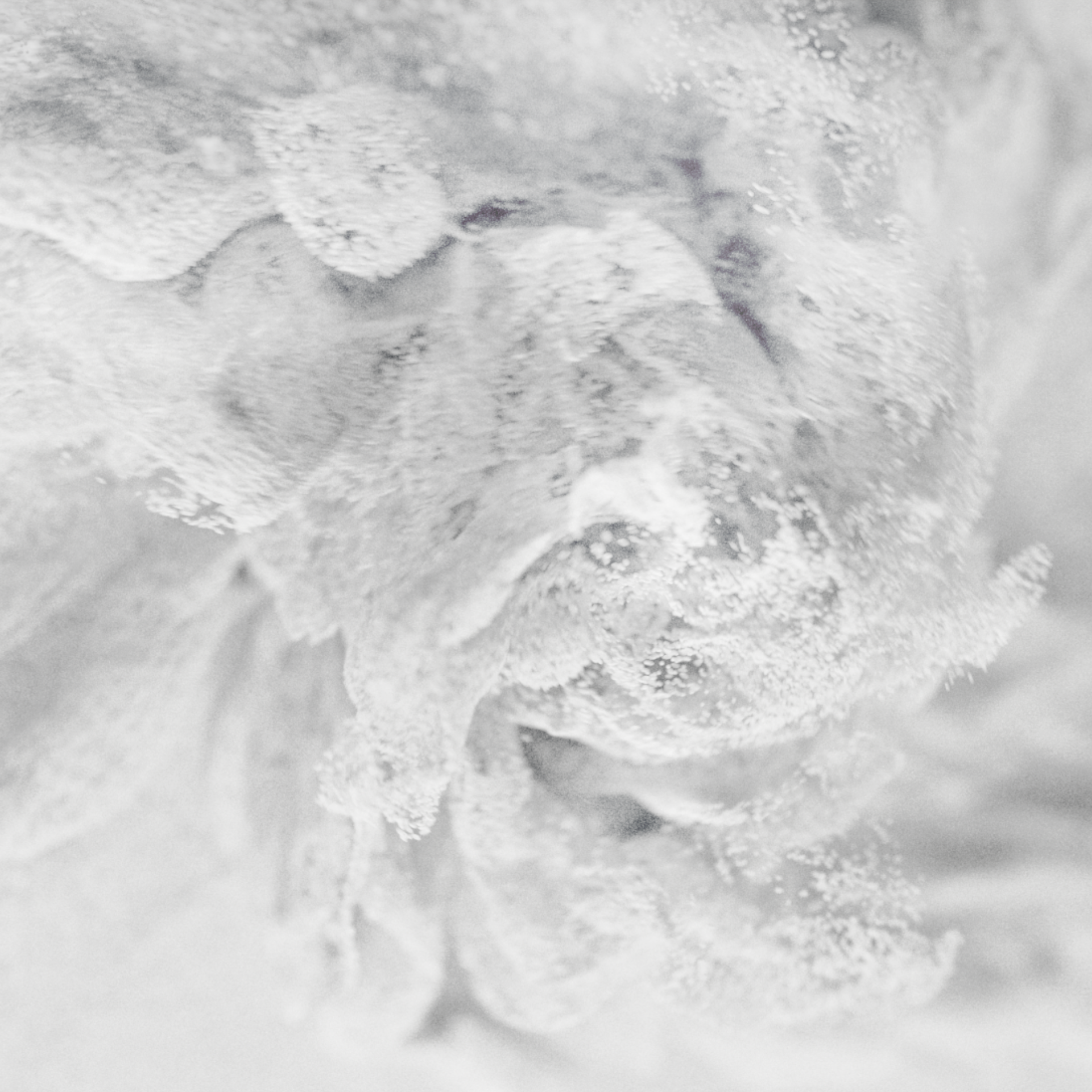 THORNE_EDIT_30SEC_1x1_CLEAN (0-00-05-10).png