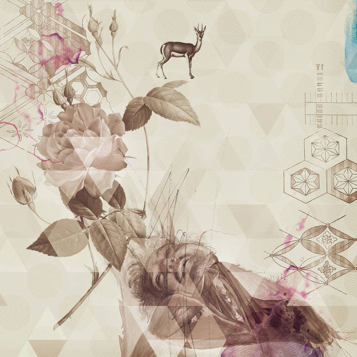 a3940058295_65.jpeg
