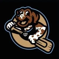 Attend the Doggy Paddler Game in Quincy, IL