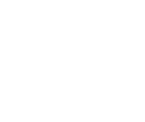 Scottish Manual Therapists Organisation