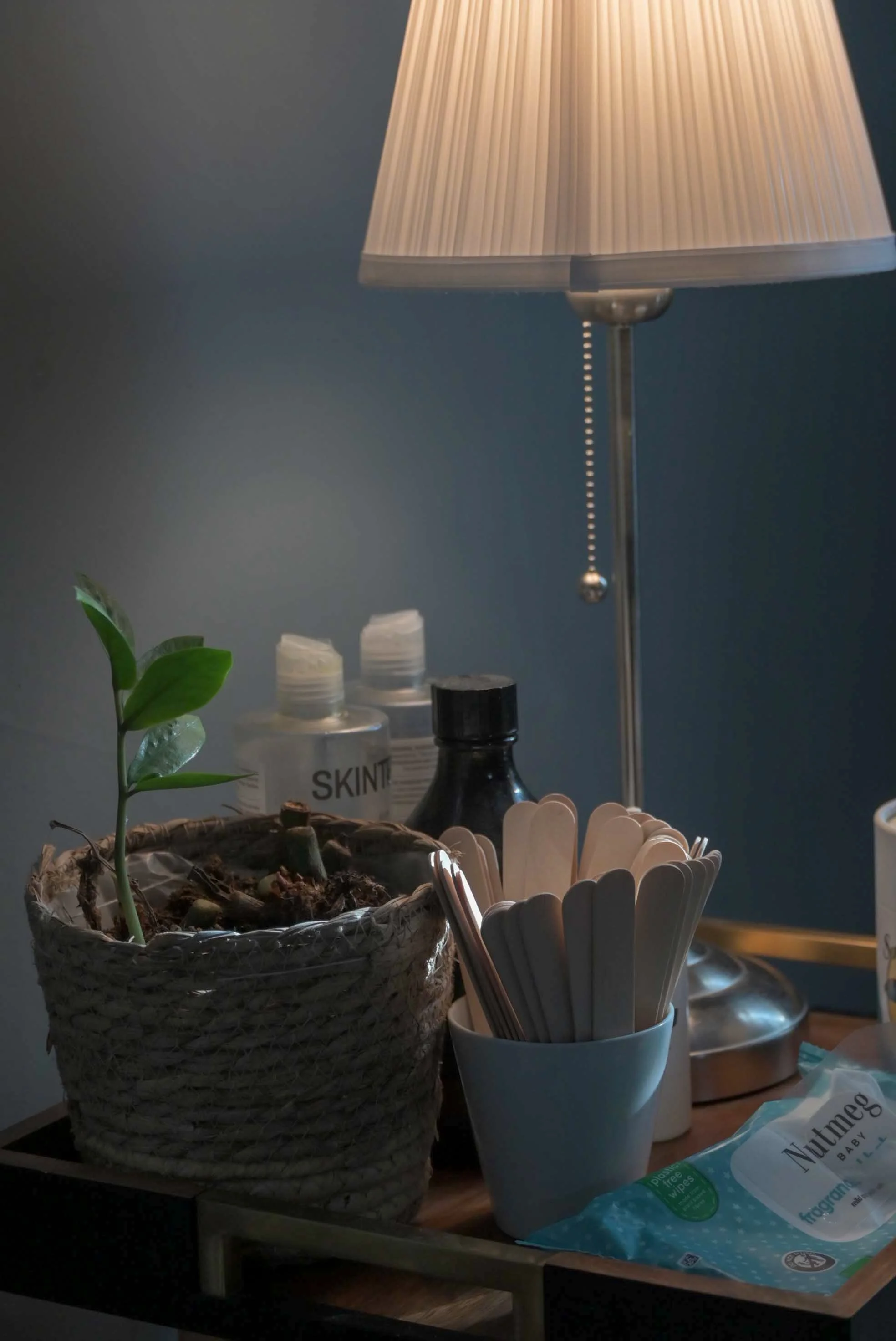 A table with a potted plant, disposable utensils in a cup, lotion bottles, a black bottle, and a lamp with a cord pull switch. The background wall is painted dark blue.
