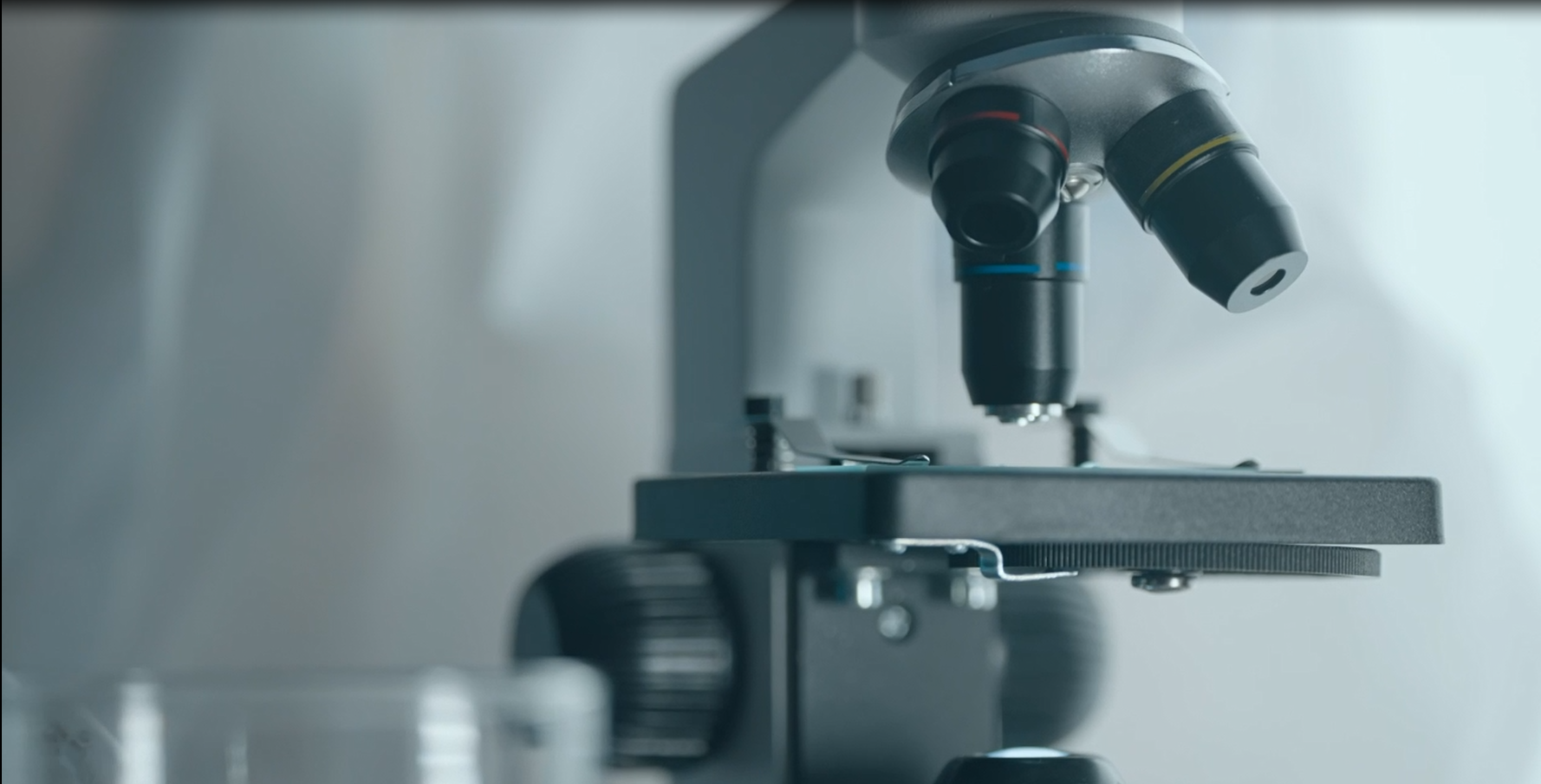 Homepage Hero Section Video Fallback Image.png