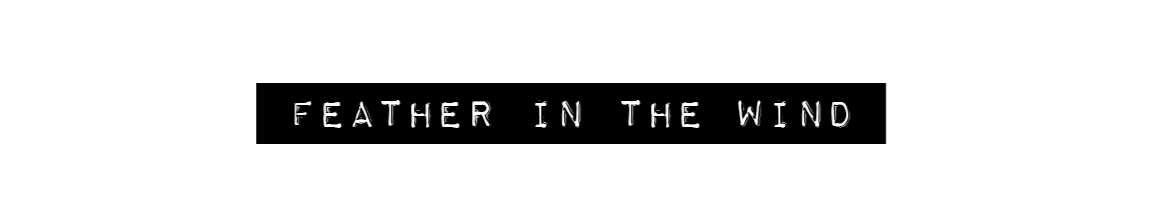 Text on a black background that reads 'Feather in the Wind'. Learn about singer-songwriter Mindy Gledhill's musical journey, albums, performances, and upcoming projects, inspiring self-acceptance and personal growth through her heartfelt music.