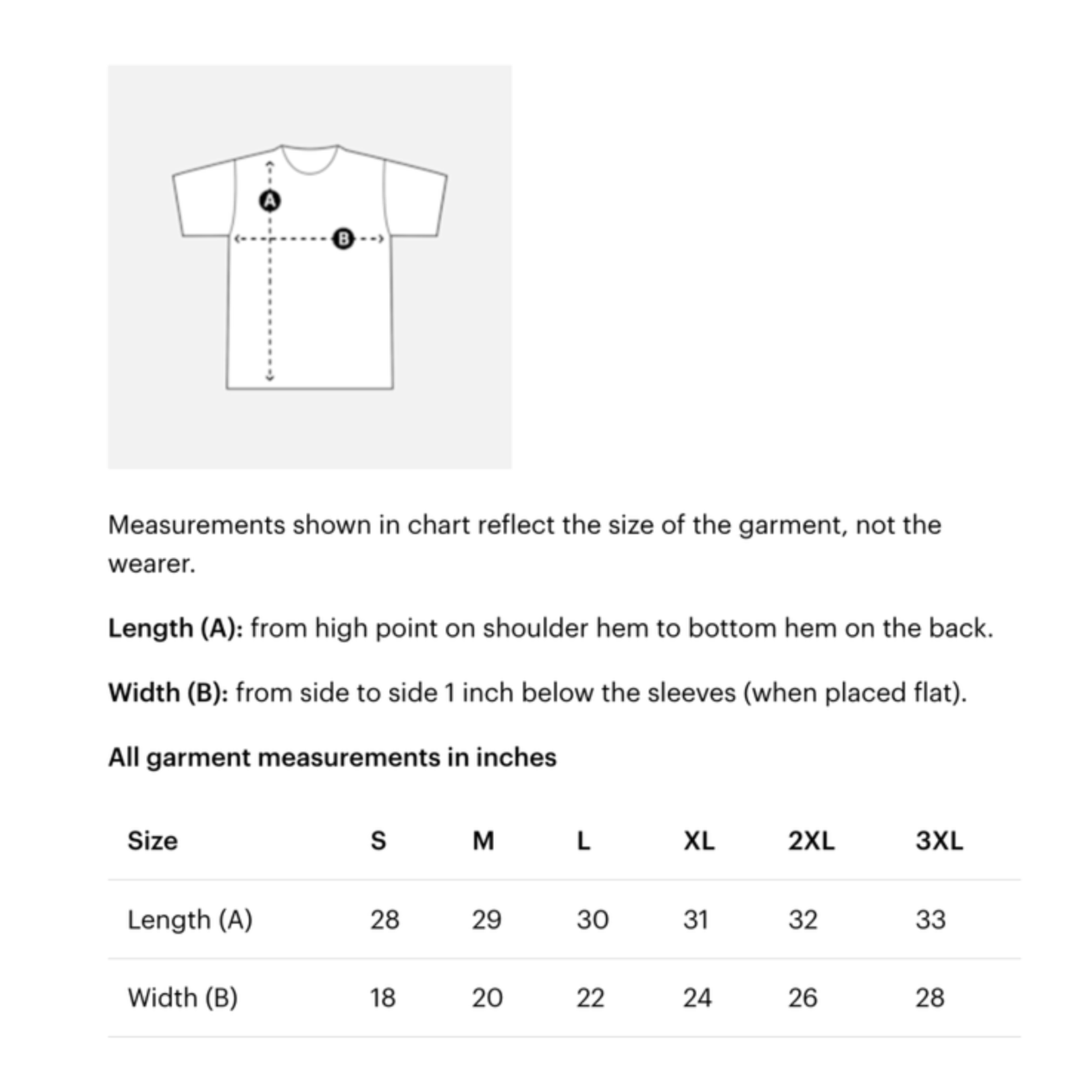 VTA 2023 unisex tee size chart.png