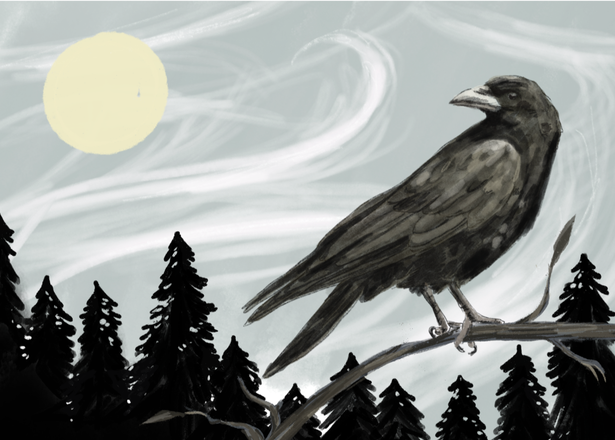 raven.png