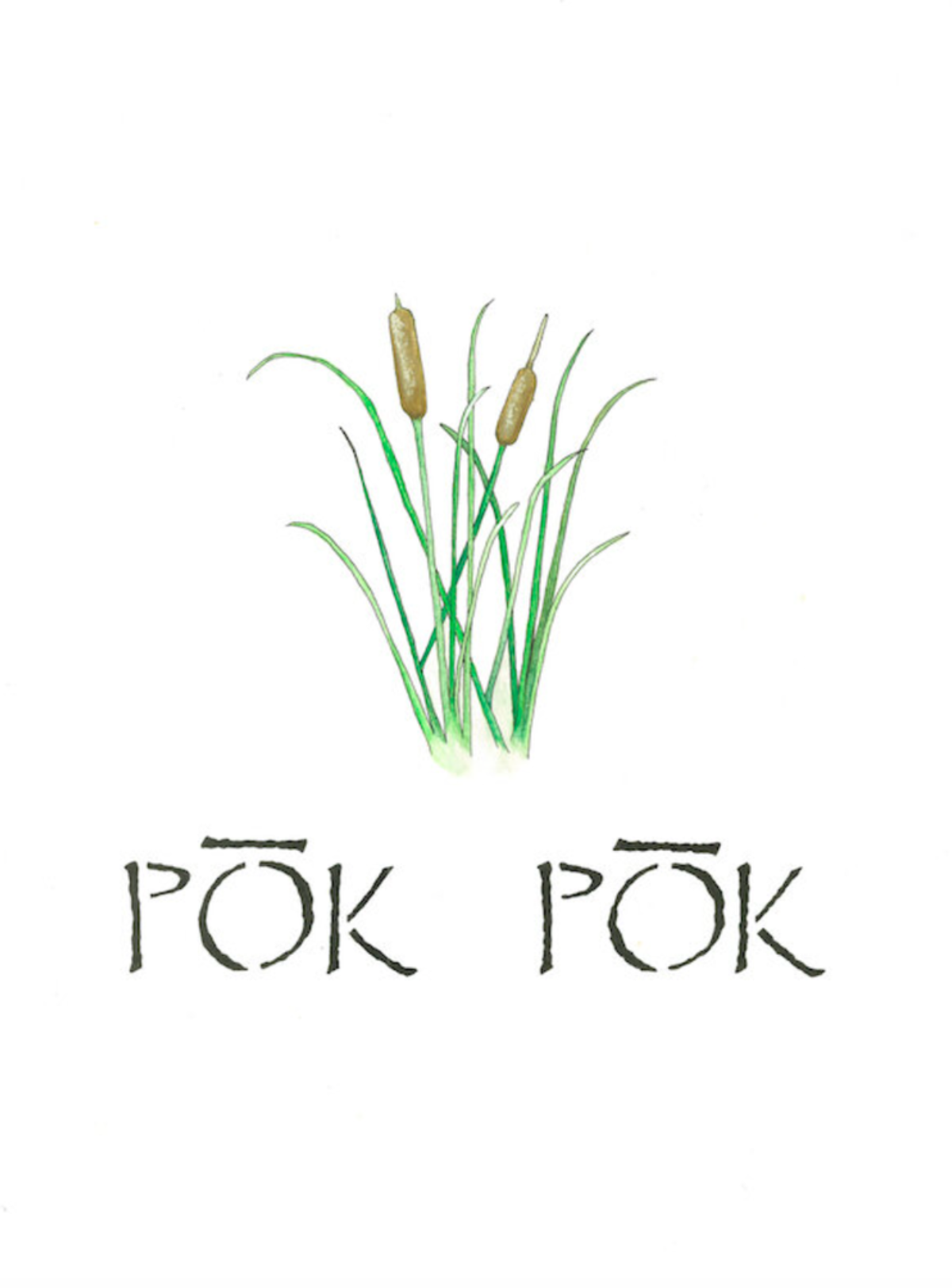 pok pok.png