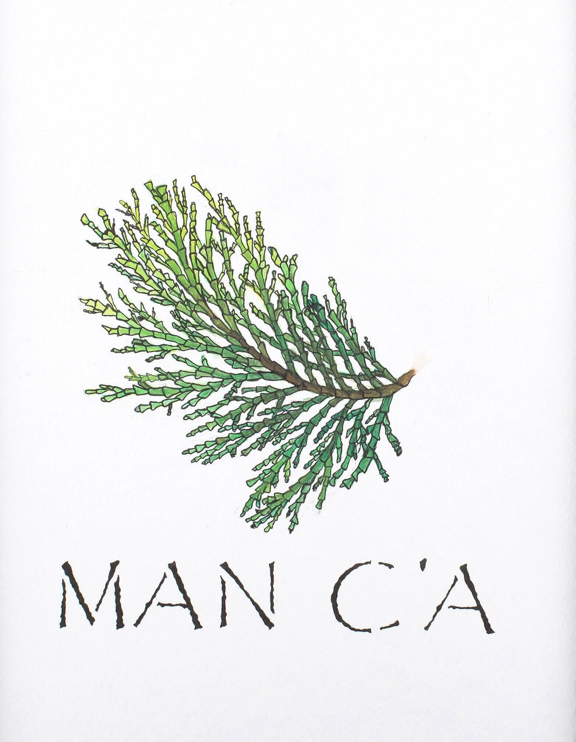 man ca.png