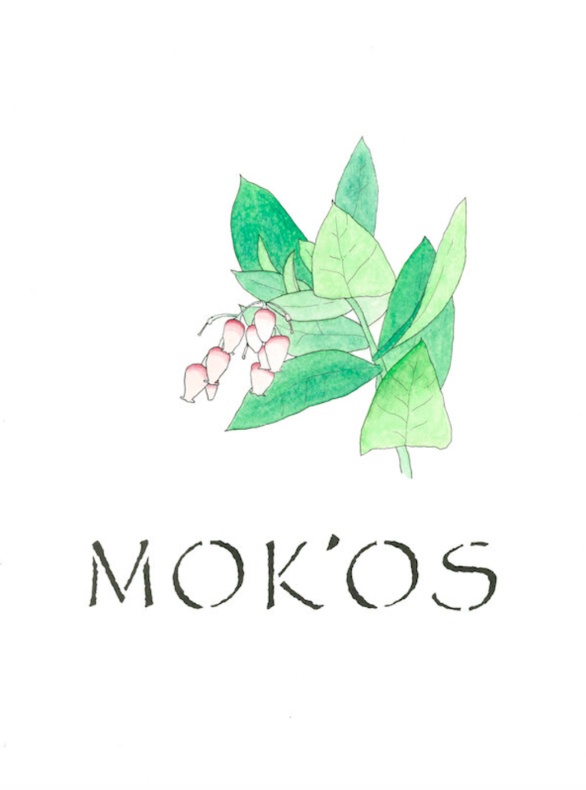 mokos.png