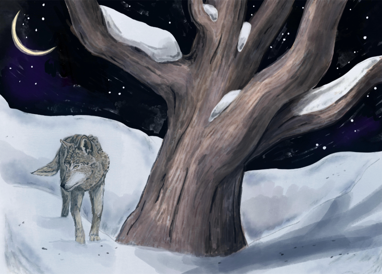 wolf.png
