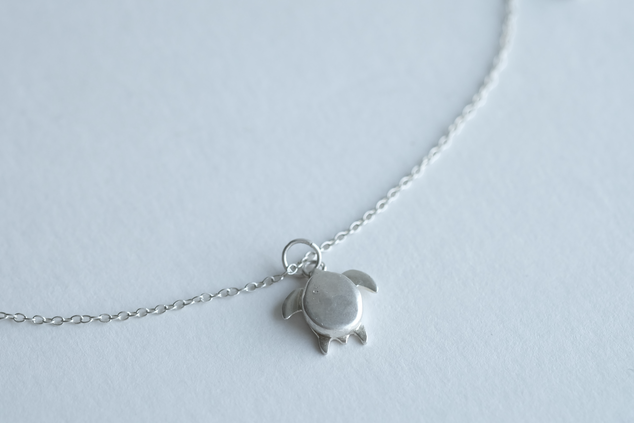 Wild_necklace_turtle.png