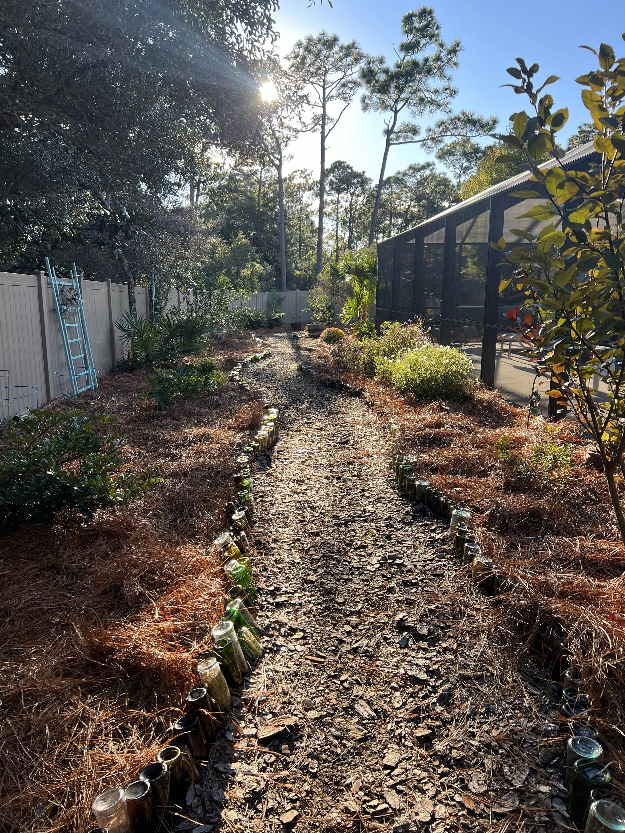 A rugged garden path lined with glass jars filled with candles, on either side of brown pine straw mulch, leading towards trees in the background with sunlight filtering through the branches, next to a screened outdoor patio.